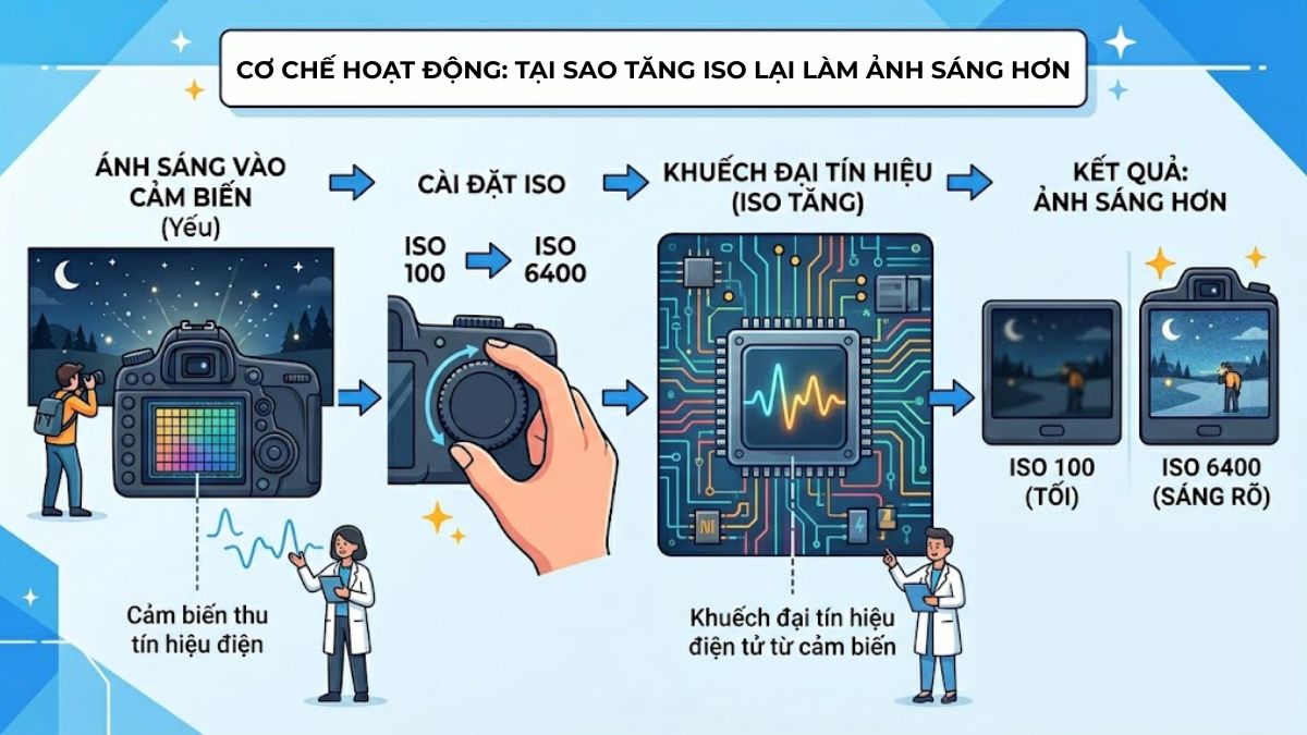 Cơ chế hoạt động ISO máy ảnh