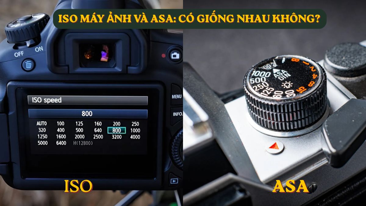 ISO máy ảnh và ASA: Có giống nhau không