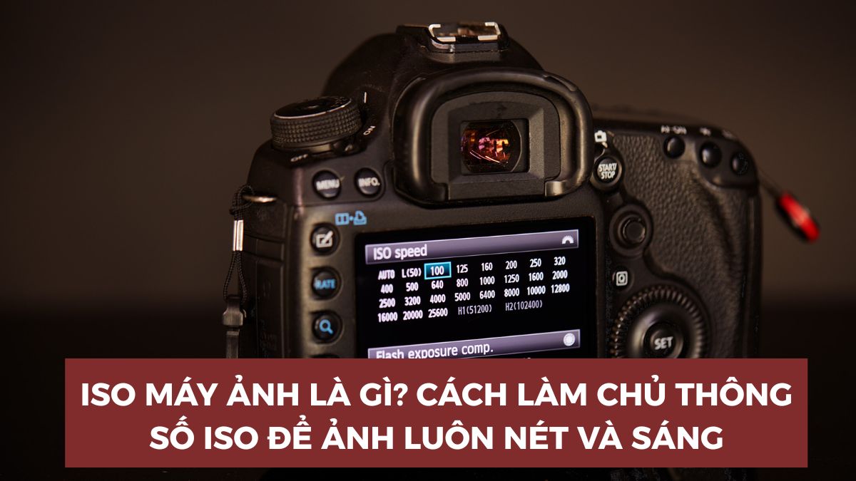 ISO máy ảnh là gì? Cách làm chủ thông số ISO để ảnh luôn nét và sáng