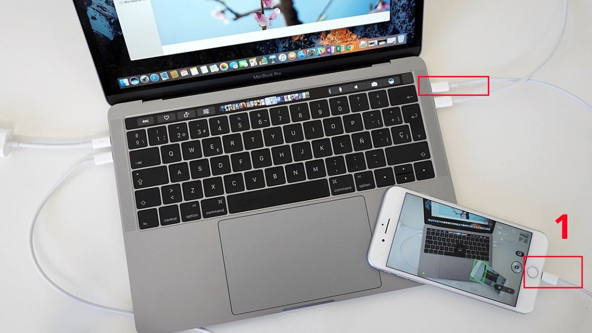 Khôi phục video đã xóa vĩnh viễn qua Finder bước 1