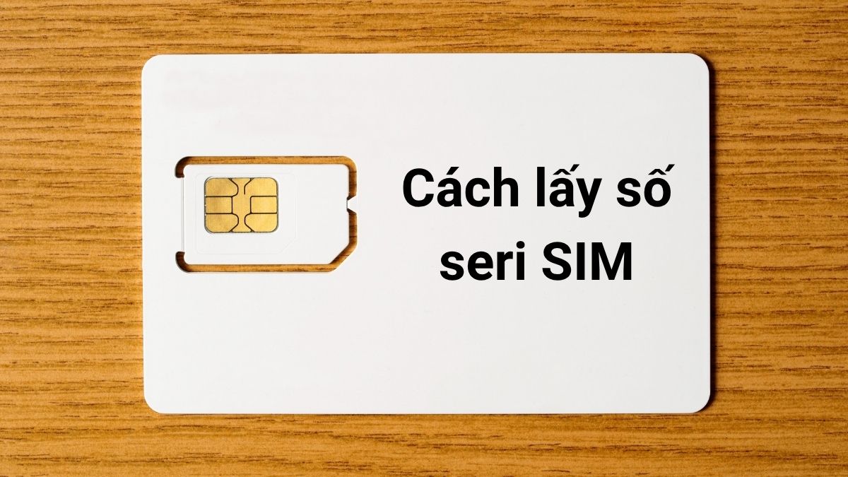 5 Cách lấy số seri SIM online nhanh chóng tại nhà