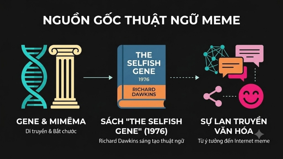 Nguồn gốc thuật ngữ meme ra đời