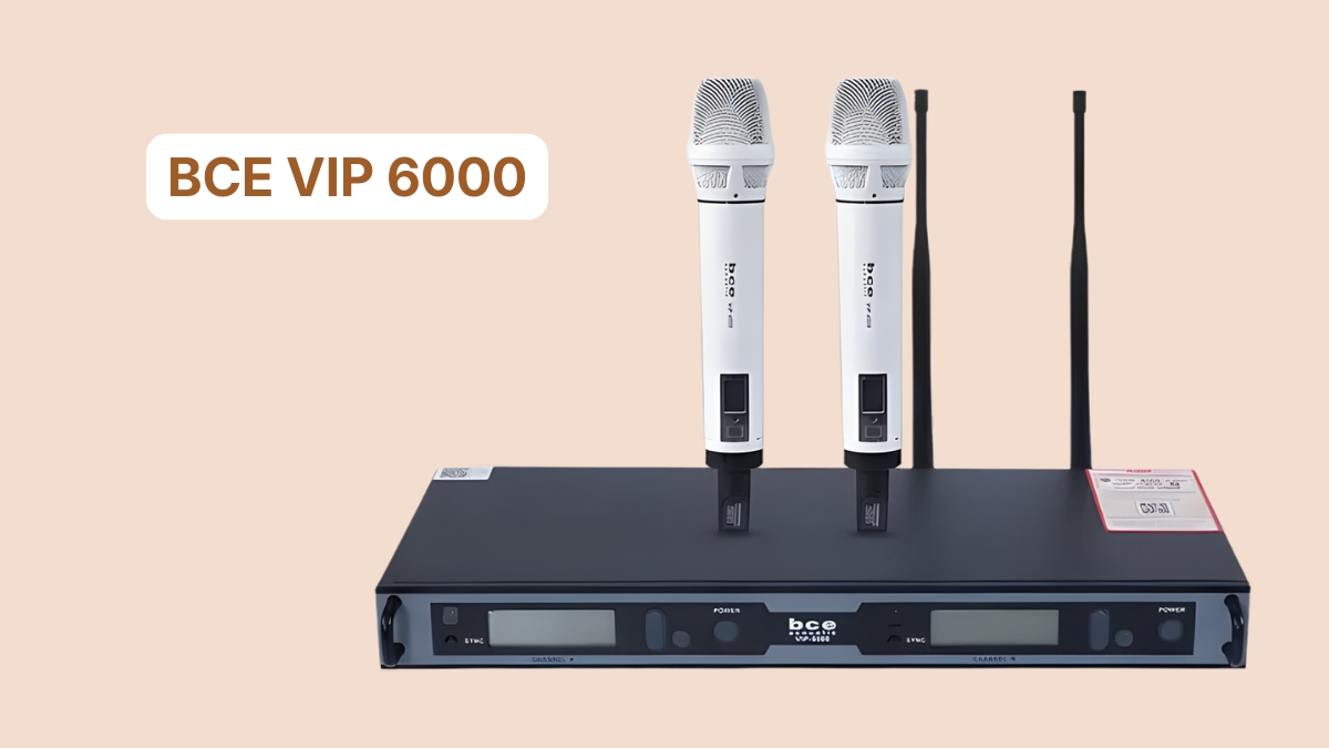 micro không dây karaoke gia đình BCE VIP 6000