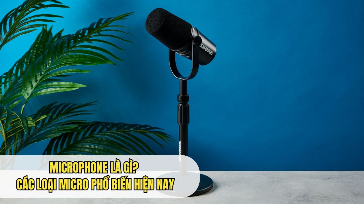 Microphone Là Gì? Các Loại Microphone Thu Âm Phổ Biến Hiện Nay