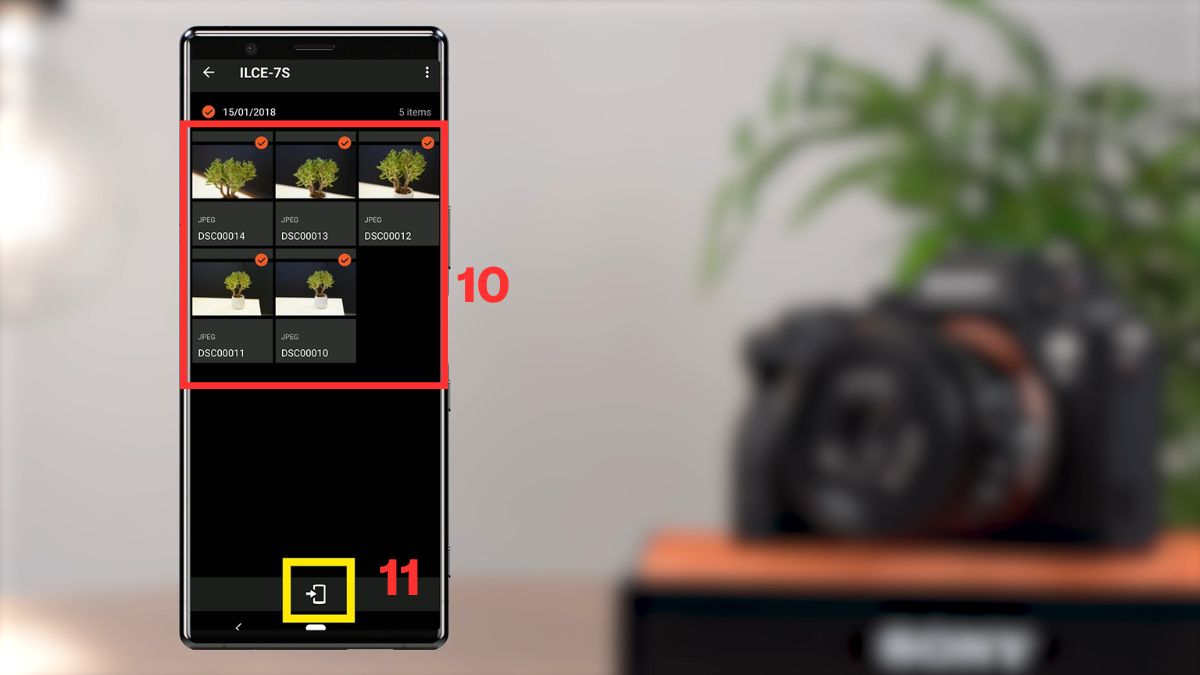 Cách xuất ảnh từ máy ảnh Sony bằng Imaging Edge Mobile bước 6