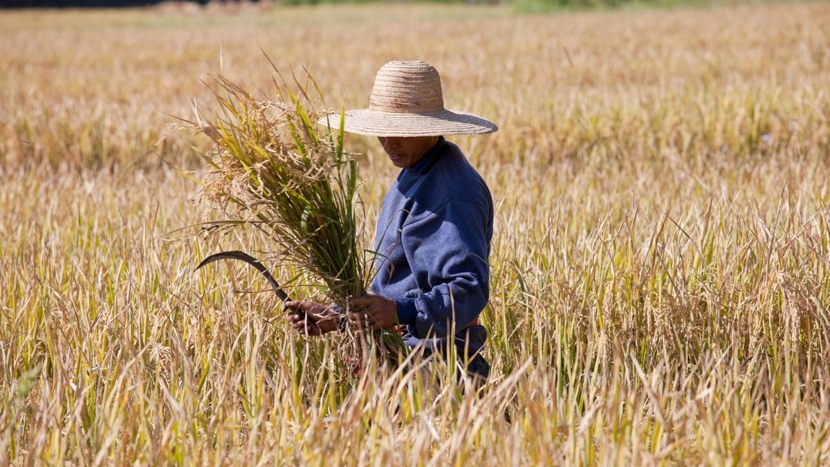 Ảnh đẹp Sơn La đẹp nhất