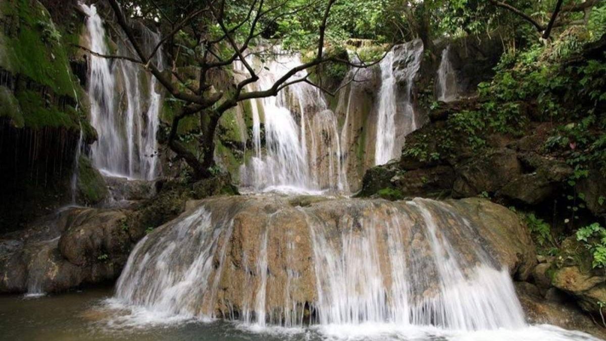 Ảnh đẹp Bình Phước nổi bật giữa thiên nhiên hoang dã.