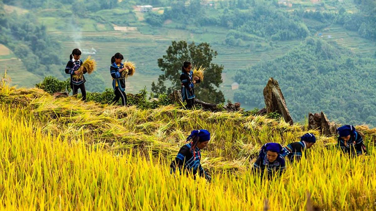 Ảnh đẹp Lào Cai với nụ cười rạng rỡ của người vùng cao.