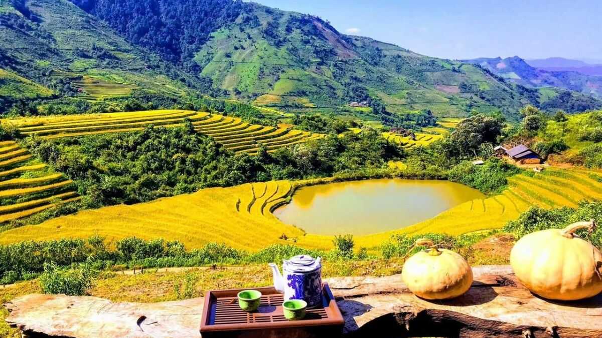 Ảnh đẹp Lai Châu ruộng bậc thang xanh mướt.