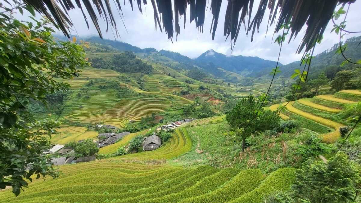 Ảnh đẹp Lai Châu tầng tầng ruộng lúa.