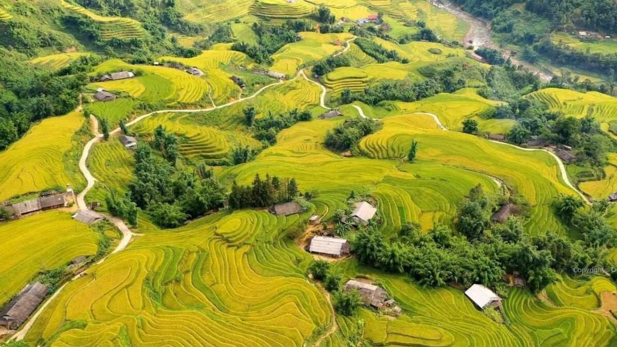 Ảnh đẹp Lai Châu mây ôm ruộng bậc thang.