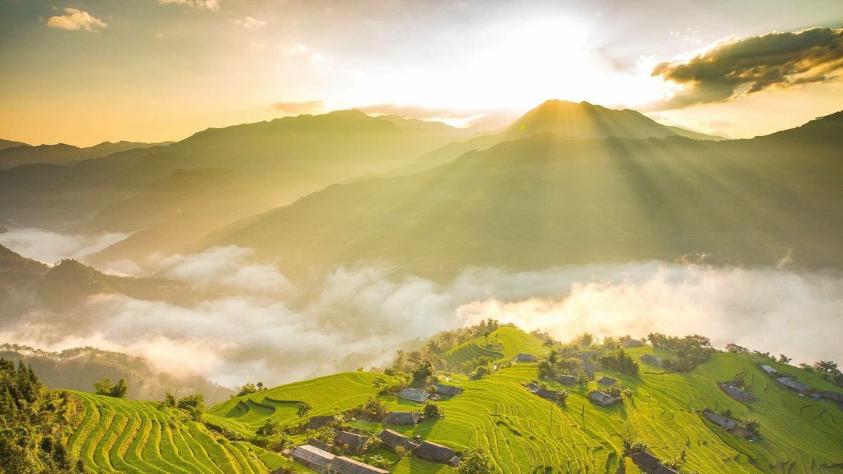 Ảnh đẹp Lai Châu ánh nắng trên đồng lúa.