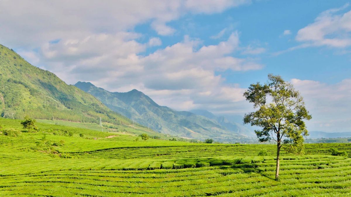 Hình ảnh đẹp Lai Châu ấn tượng