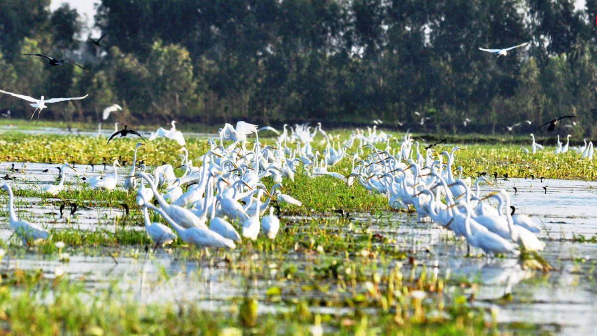 Ảnh đẹp Long An dịu dàng, yên bình.