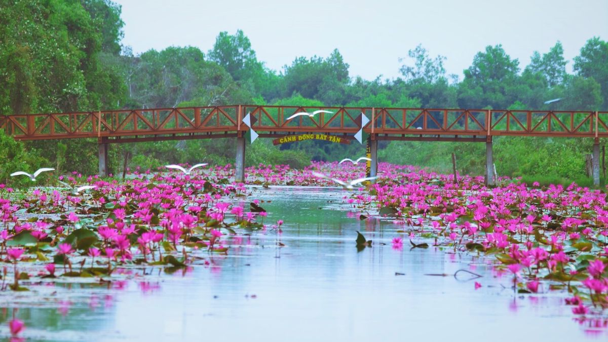 Ảnh đẹp Long An tràn đầy cảm xúc.