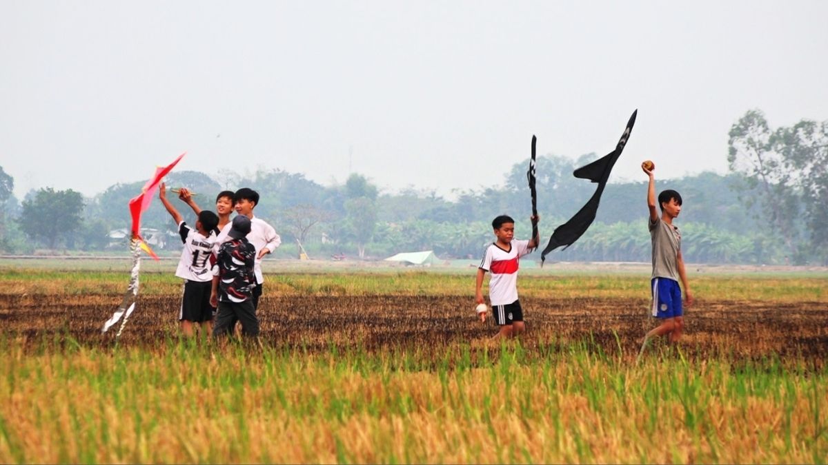 Ảnh cánh diều tươi vui