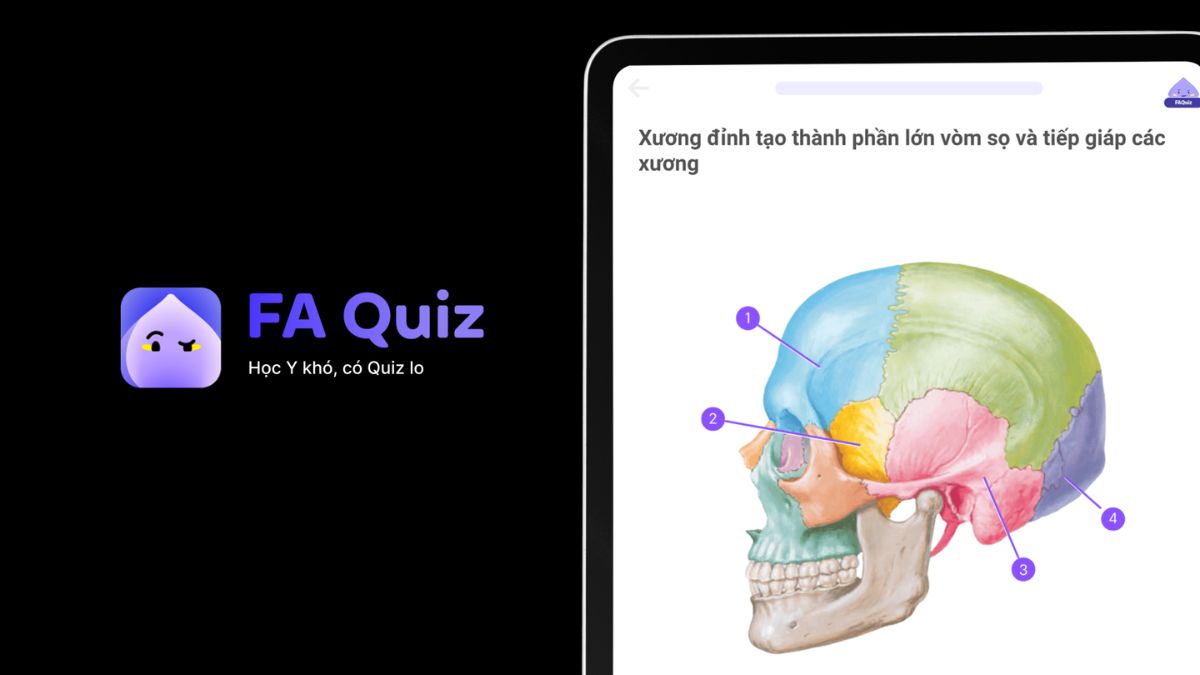 App thi chạy trạm giải phẫu hiệu quả