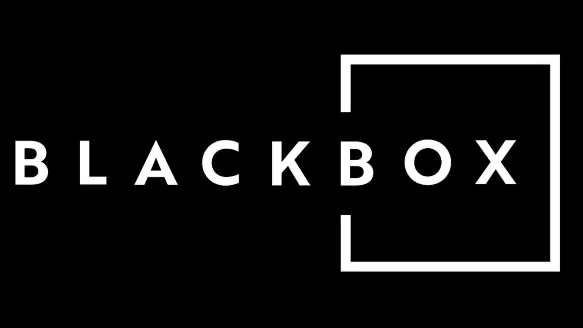 Những lưu ý khi sử dụng Blackbox AI