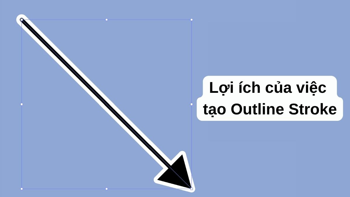 Lợi ích của việc tạo Outline Stroke trong Illustrator