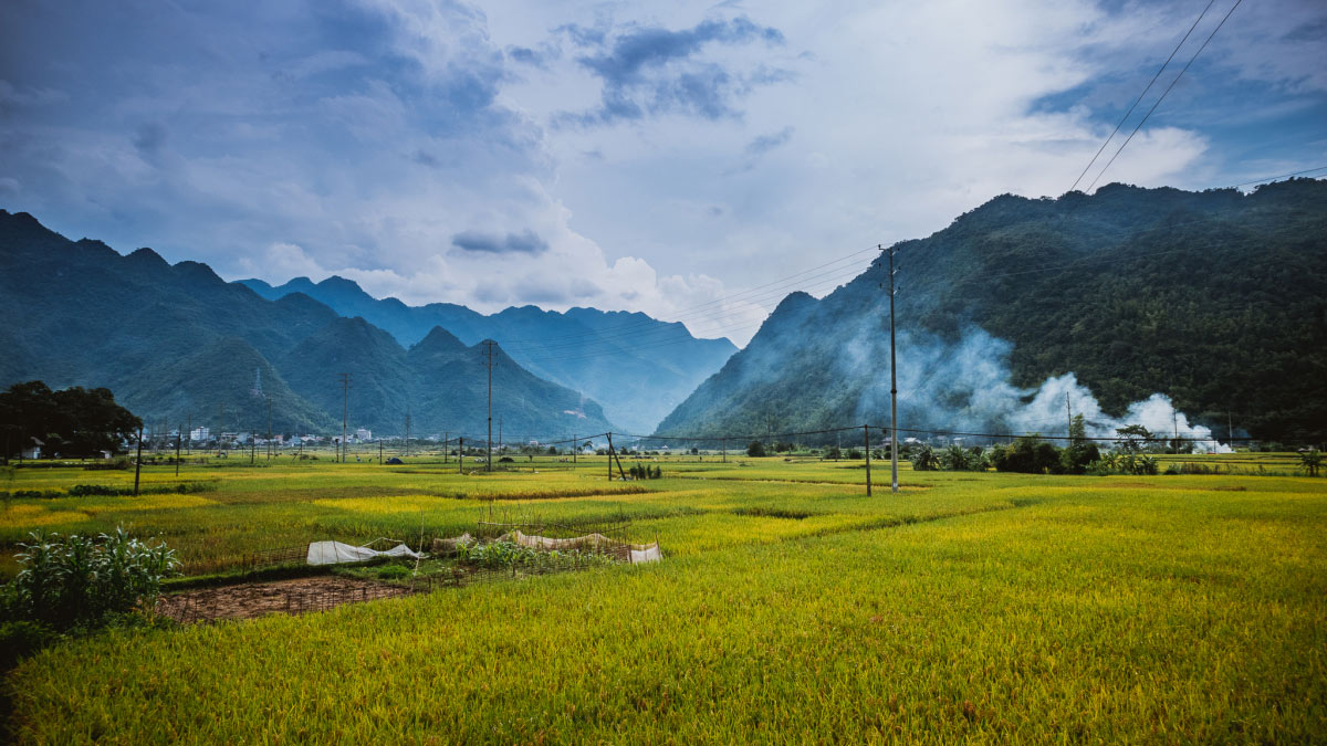 Ảnh đẹp Hòa Bình cánh đồng bậc thang đẹp như tranh vẽ