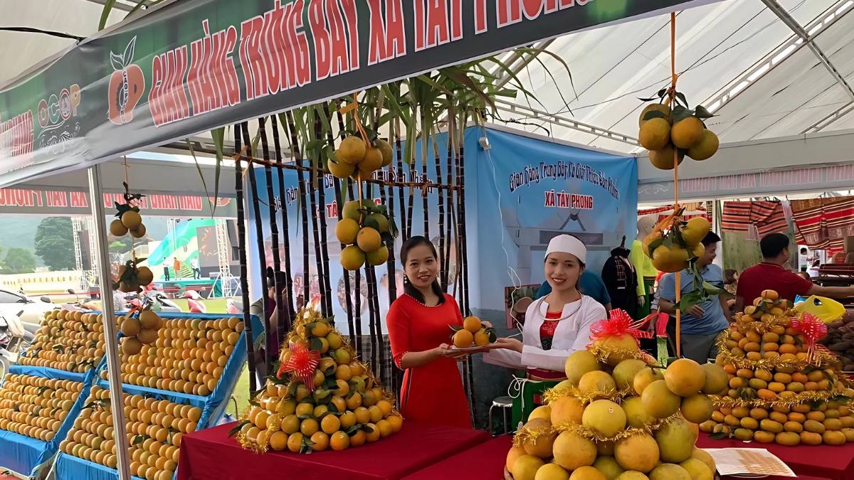 Lễ hội Cam Cao Phong tại Hòa Bình