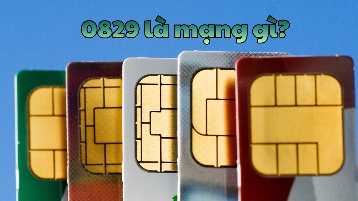 0829 là mạng gì? Cách chọn mua SIM đầu số 0829 giá tốt