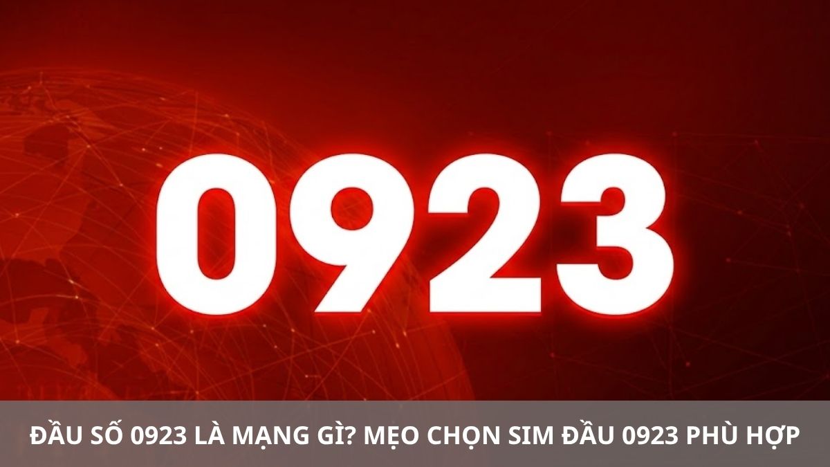 Đầu số 0923 là mạng gì? Mẹo chọn SIM đầu 0923 phù hợp