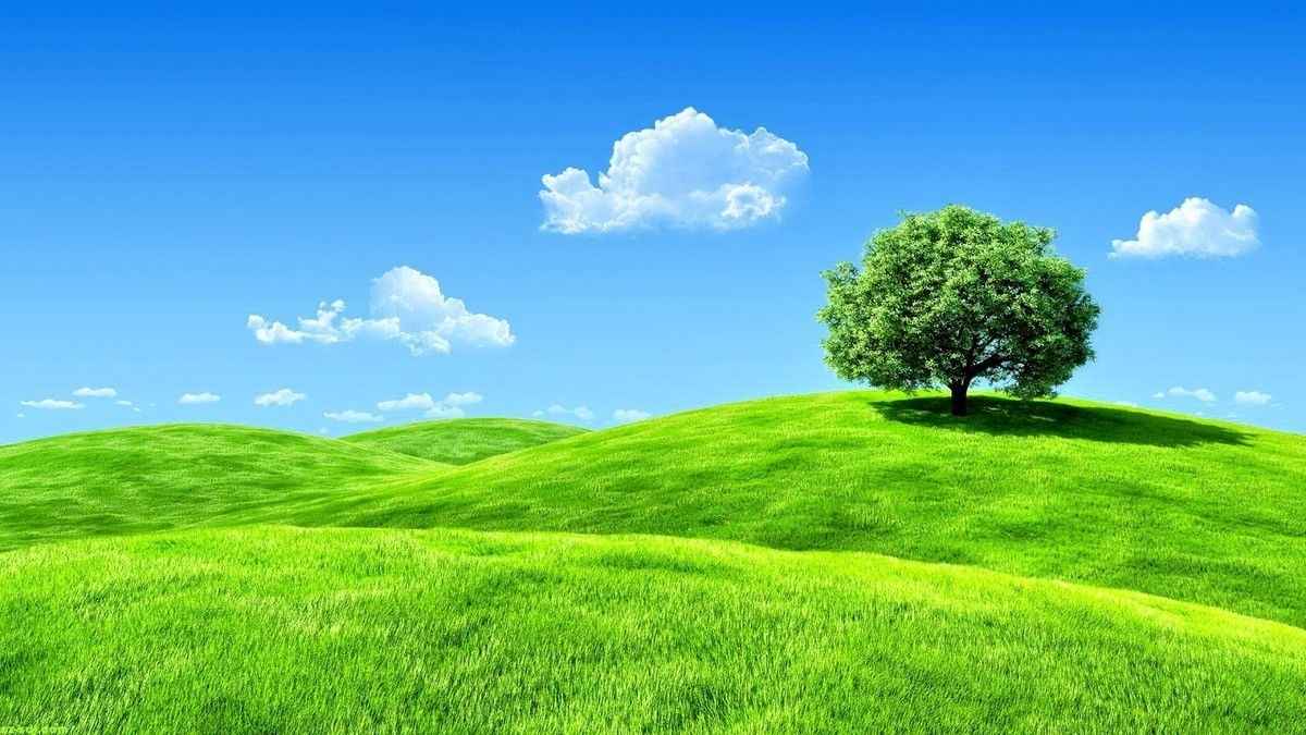 Ảnh bìa Zalo mặc định