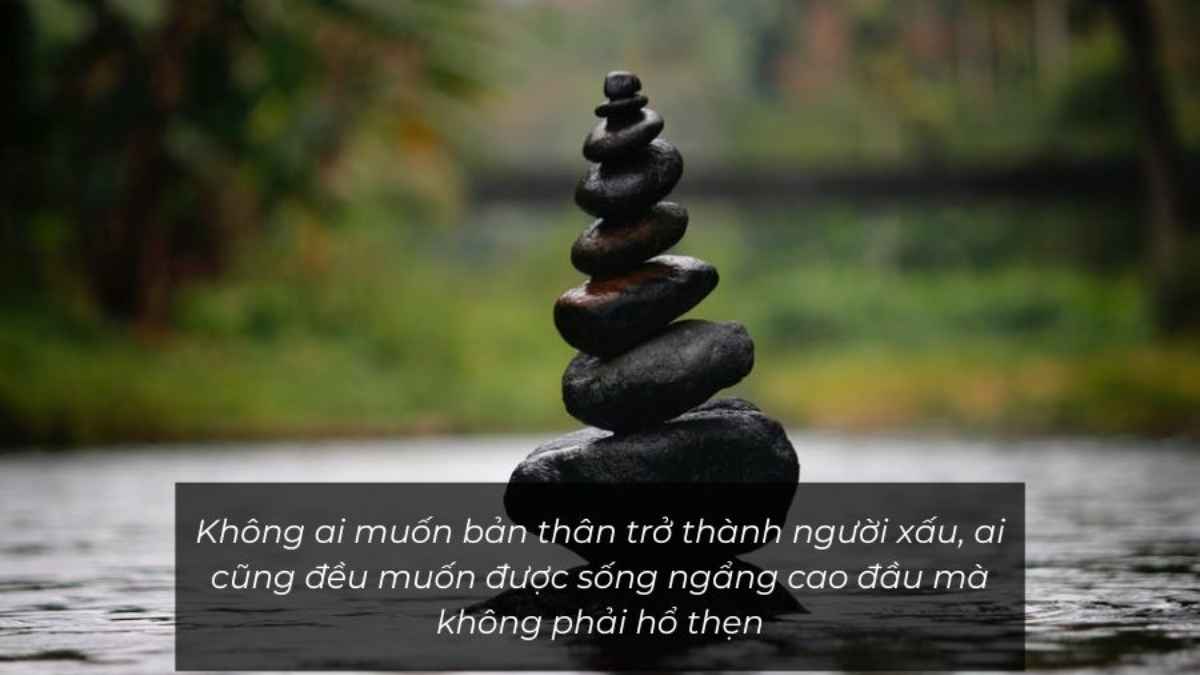 Ảnh bìa Zalo bộ sưu tập