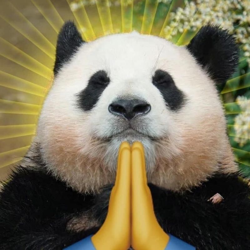 Ảnh meme hài hước lan tỏa