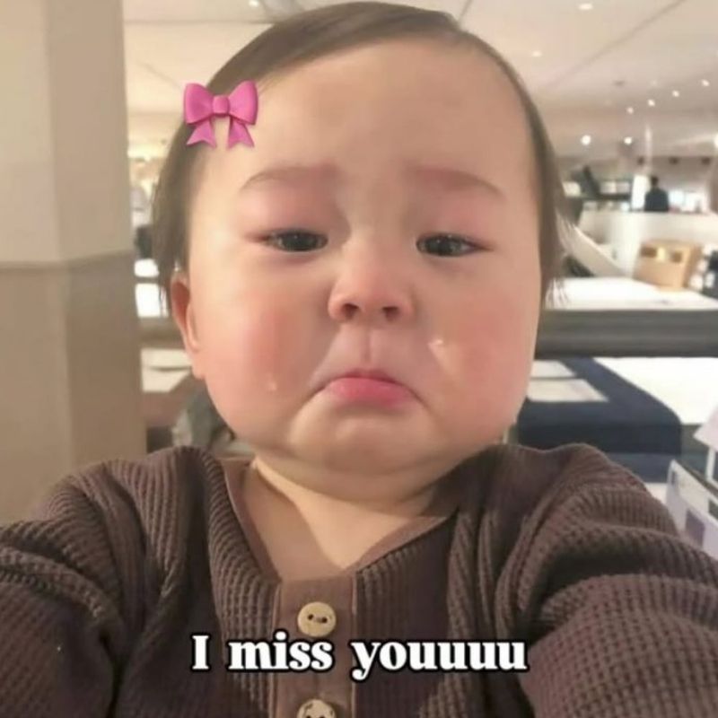 Ảnh meme hài hước thú vị