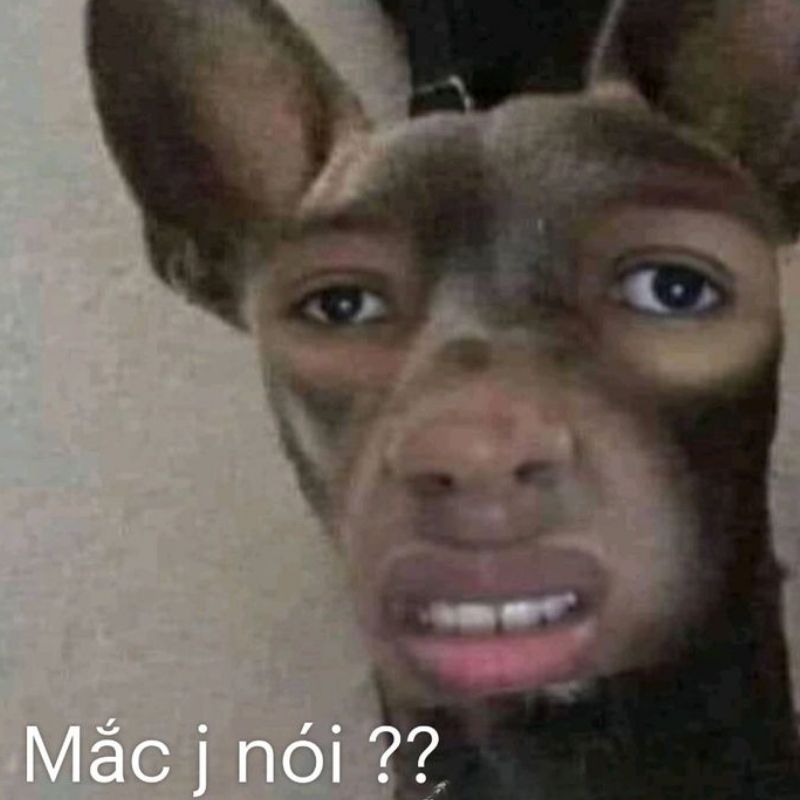 Ảnh meme hài hước tích cực