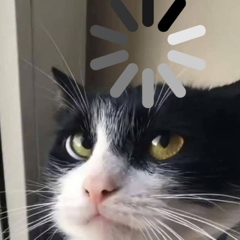 Ảnh meme hài hước thông minh