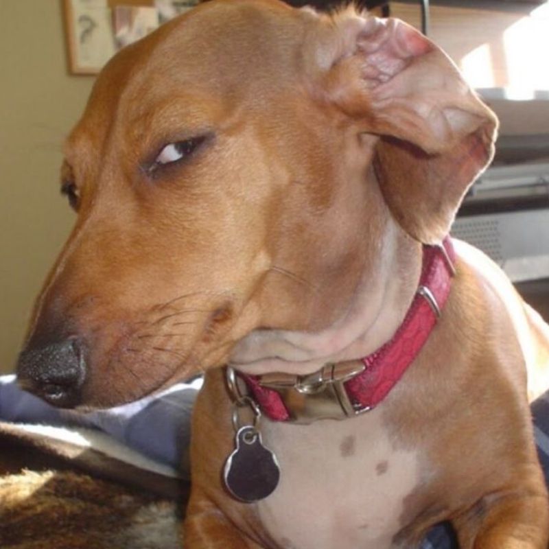 Ảnh meme hài hước khó tin