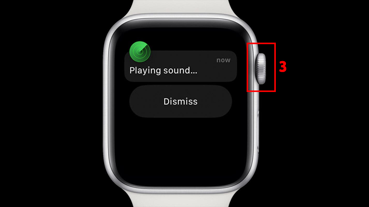 Khắc phục lỗi Apple Watch bị treo táo bằng cách sử dụng Find My - bước 2
