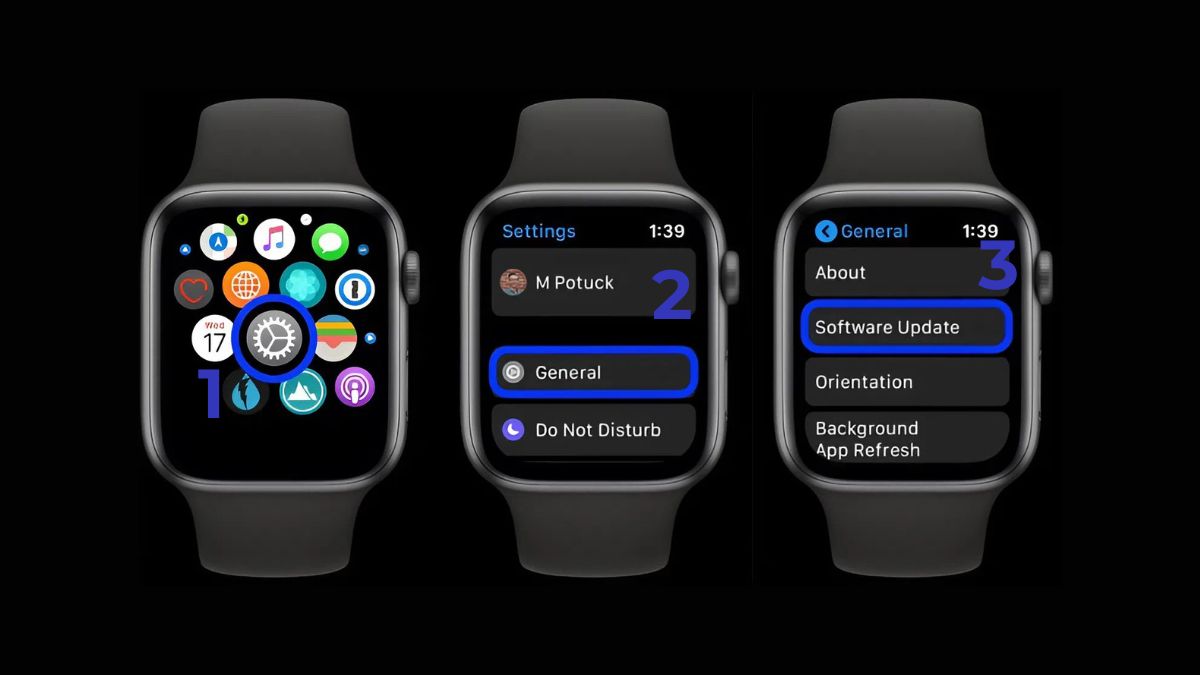 Khắc phục lỗi Apple Watch không gọi được bằng cách cập nhật lại Apple Watch 