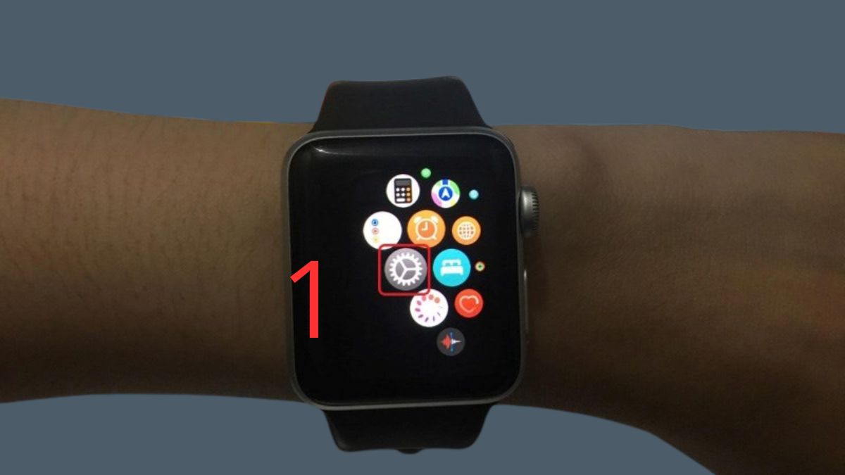 Bật Phát hiện cổ tay khi Apple Watch không hiện thông báo - bước 1