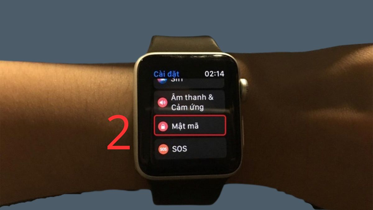 Bật Phát hiện cổ tay khi Apple Watch không hiện thông báo - bước 2
