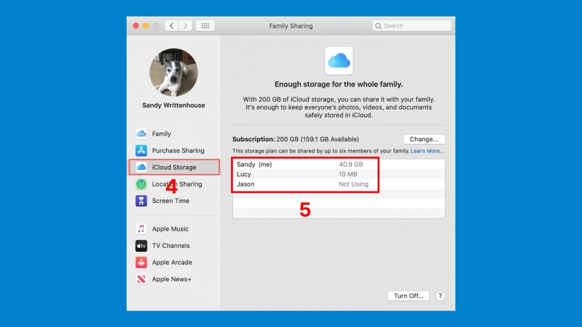 Cách kiểm tra dung lượng iCloud gia đình đang dùng trên Mac - bước 4