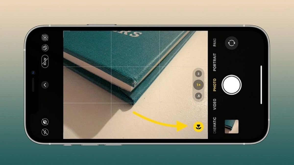 Cách chỉnh camera iPhone 14 Pro Max chụp đẹp là dùng chế độ Macro