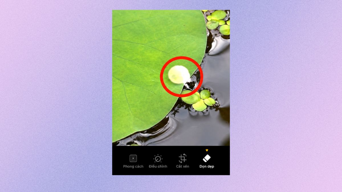 Cách dùng Clean Up iOS 26 xóa vật thể - bước 3