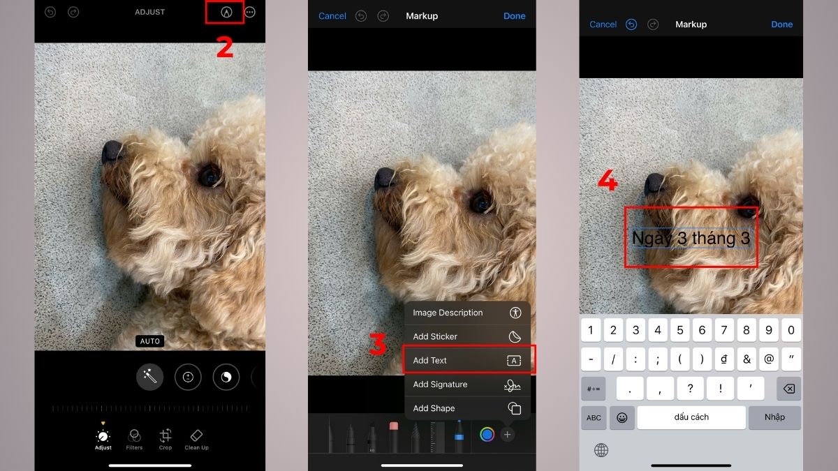 Cách chụp hình có ngày giờ trên iPhone bằng Markup - bước 2