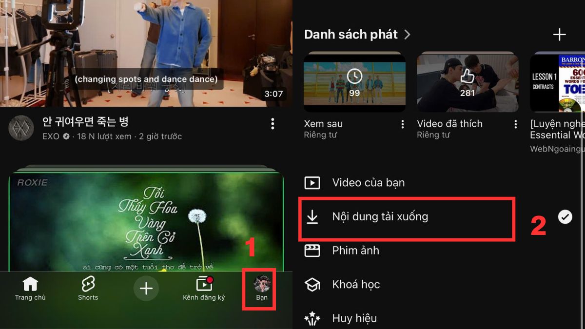 Khắc phục điện thoại hết dung lượng bằng cách xóa nội dung ngoại tuyến - bước 1