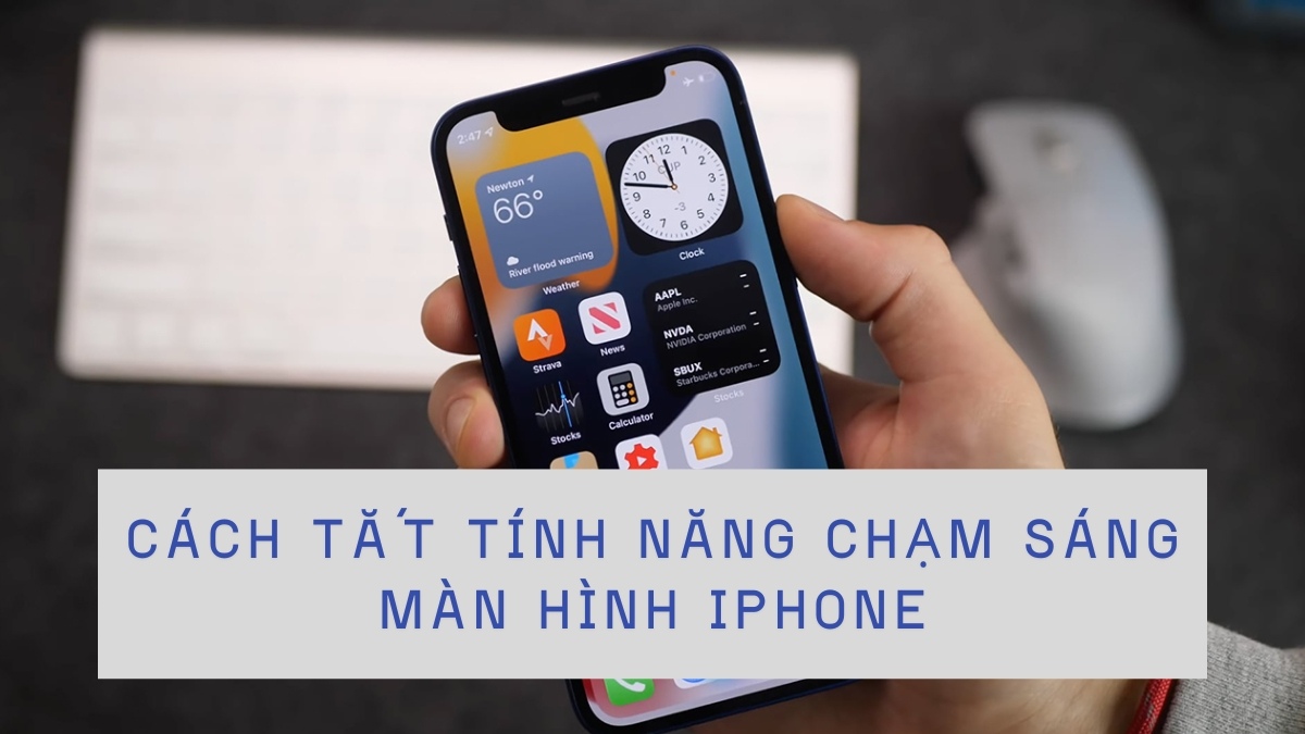 Cách tắt tính năng chạm sáng màn hình iPhone đơn giản, tiết kiệm pin