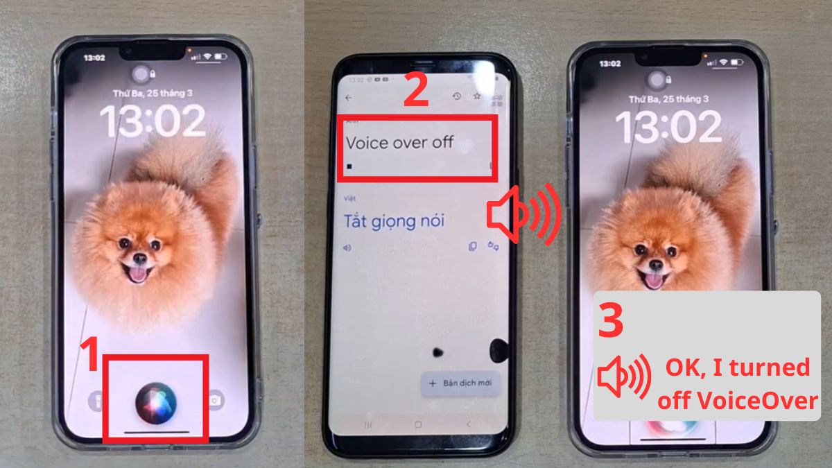 Cách tắt chế độ VoiceOver iOS bằng trợ lý ảo
