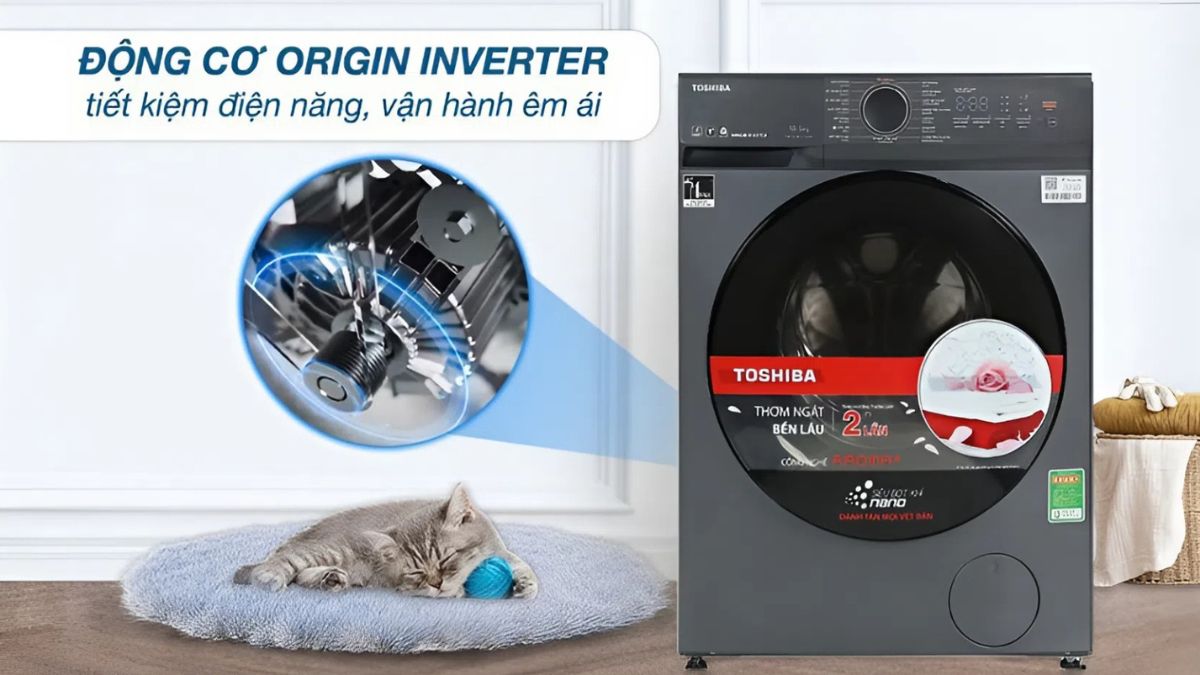 Máy giặt trưng bày Toshiba cửa ngang 10kg 2025 
