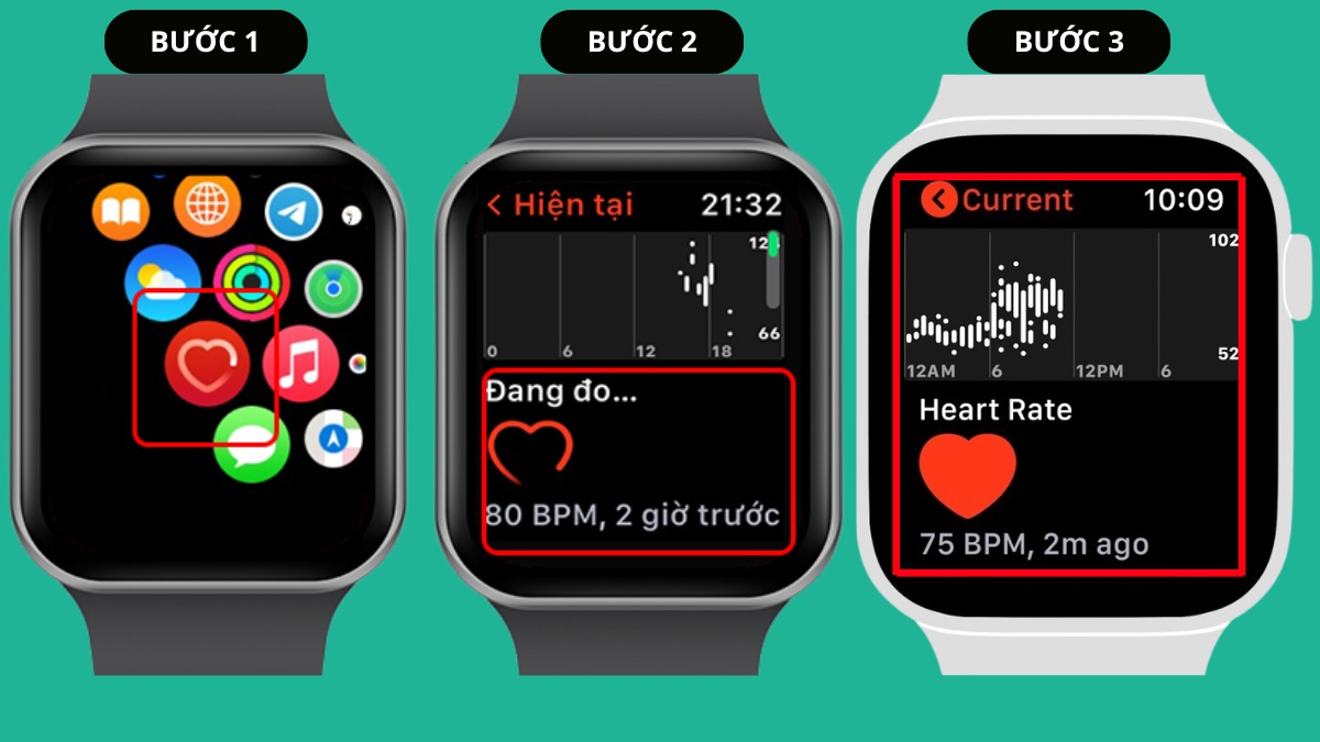 Cách đo nhịp tim trên iPhone bằng Apple Watch đơn giản