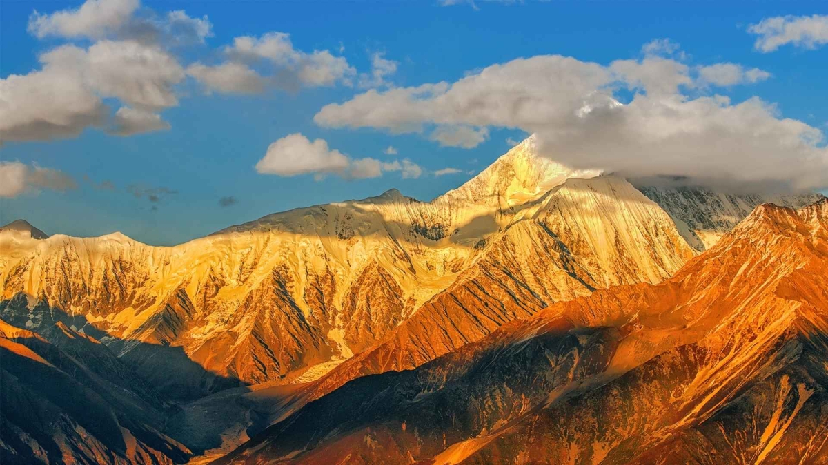 Hình nền 1920x1080 tươi mới