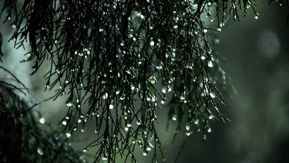 Hình nền 1920x1080 đậm ánh sáng