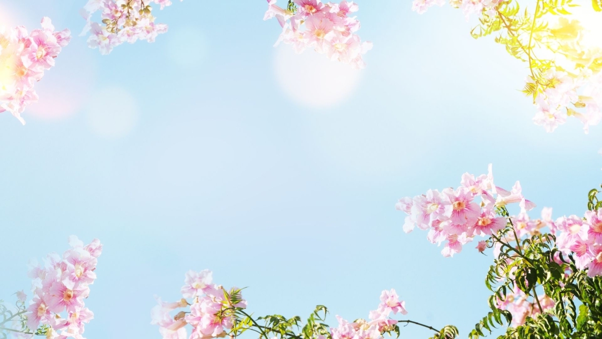 Hình nền 1920x1080 phá cách